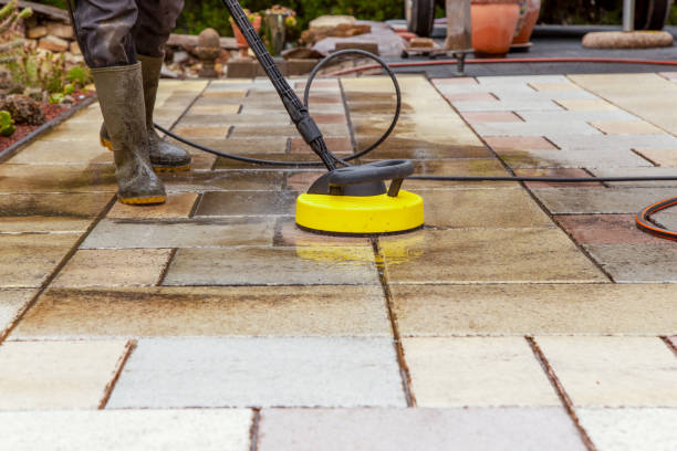 Animal Enclosure Cleaning in Gonzales, LA